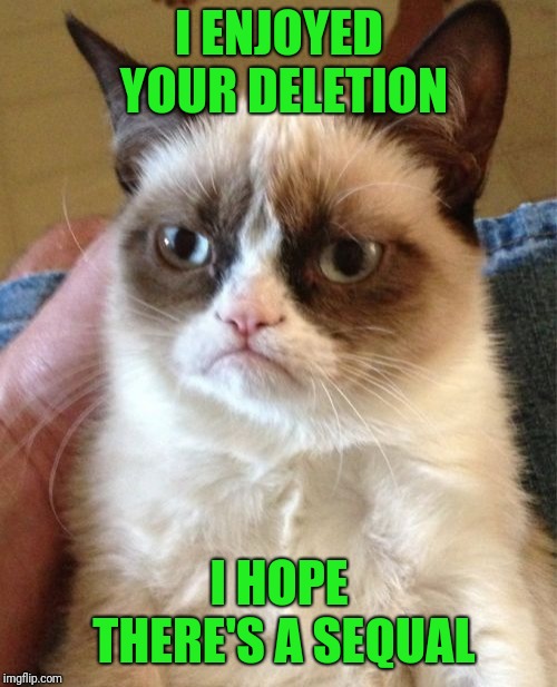 Grumpy Cat Meme | I ENJOYED YOUR DELETION I HOPE THERE'S A SEQUAL | image tagged in memes,grumpy cat | made w/ Imgflip meme maker