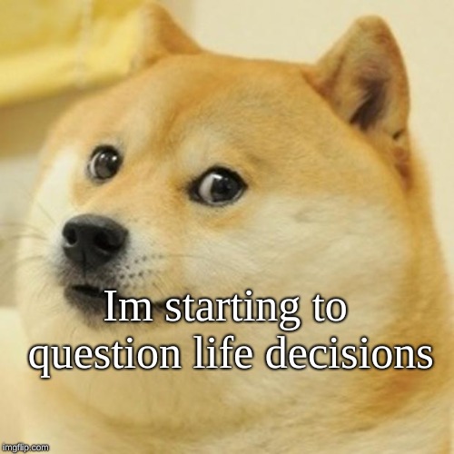 Doge | Im starting to question life decisions | image tagged in memes,doge | made w/ Imgflip meme maker