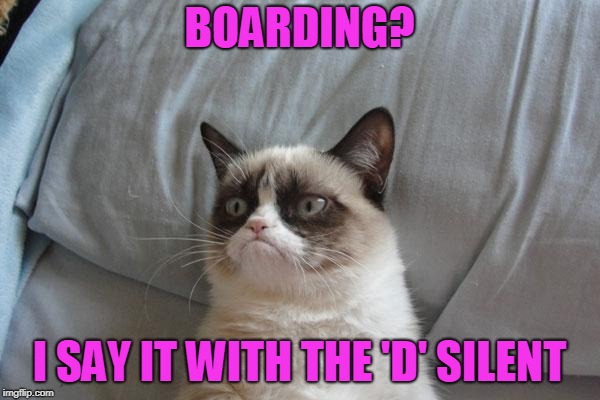 Grumpy Cat Bed Meme | BOARDING? I SAY IT WITH THE 'D' SILENT | image tagged in memes,grumpy cat bed,grumpy cat | made w/ Imgflip meme maker