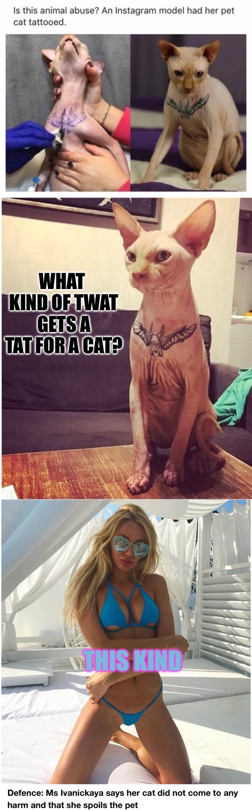 Abuse or Not? Opinions Welcome | WHAT KIND OF TWAT GETS A TAT FOR A CAT? THIS KIND | image tagged in memes,fun,animals,tattoos,animal rights,what do we want | made w/ Imgflip meme maker
