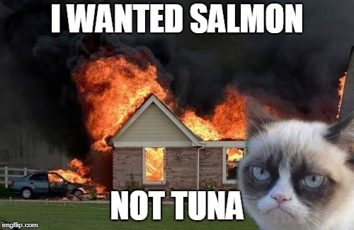 Burn Kitty Meme | I WANTED SALMON; NOT TUNA | image tagged in memes,burn kitty,grumpy cat | made w/ Imgflip meme maker