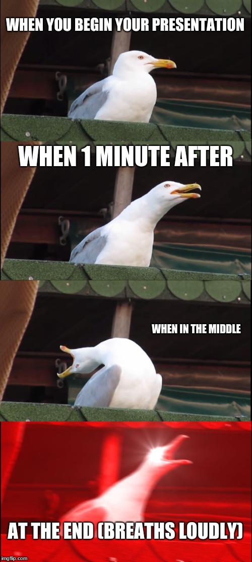 Inhaling Seagull Meme | WHEN YOU BEGIN YOUR PRESENTATION; WHEN 1 MINUTE AFTER; WHEN IN THE MIDDLE; AT THE END
(BREATHS LOUDLY) | image tagged in memes,inhaling seagull | made w/ Imgflip meme maker