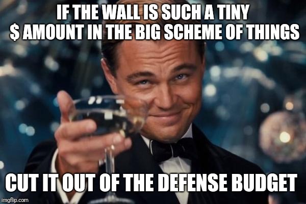 Leonardo Dicaprio Cheers Meme | IF THE WALL IS SUCH A TINY $ AMOUNT IN THE BIG SCHEME OF THINGS; CUT IT OUT OF THE DEFENSE BUDGET | image tagged in memes,leonardo dicaprio cheers | made w/ Imgflip meme maker