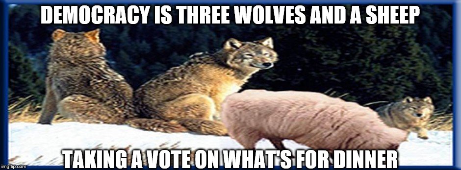 DEMOCRACY IS THREE WOLVES AND A SHEEP TAKING A VOTE ON WHAT'S FOR DINNER | made w/ Imgflip meme maker