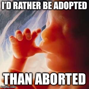 Fetus | I’D RATHER BE ADOPTED THAN ABORTED | image tagged in fetus | made w/ Imgflip meme maker