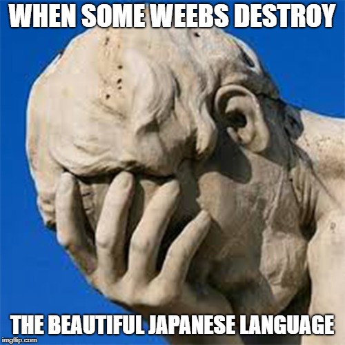 Groan Facepalm | WHEN SOME WEEBS DESTROY THE BEAUTIFUL JAPANESE LANGUAGE | image tagged in groan facepalm | made w/ Imgflip meme maker