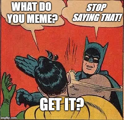 Batman Slapping Robin Meme | WHAT DO YOU MEME? STOP SAYING THAT! GET IT? | image tagged in memes,batman slapping robin | made w/ Imgflip meme maker