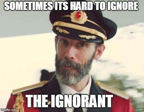 Captain Obvious | SOMETIMES ITS HARD TO IGNORE THE IGNORANT | image tagged in captain obvious | made w/ Imgflip meme maker