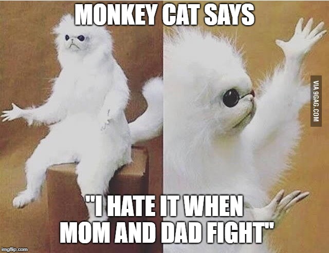 Confused white monkey | MONKEY CAT SAYS "I HATE IT WHEN MOM AND DAD FIGHT" | image tagged in confused white monkey | made w/ Imgflip meme maker
