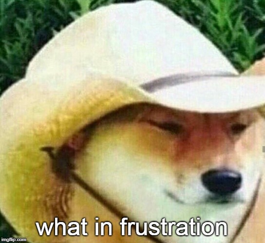 What in tarnation | what in frustration | image tagged in what in tarnation | made w/ Imgflip meme maker