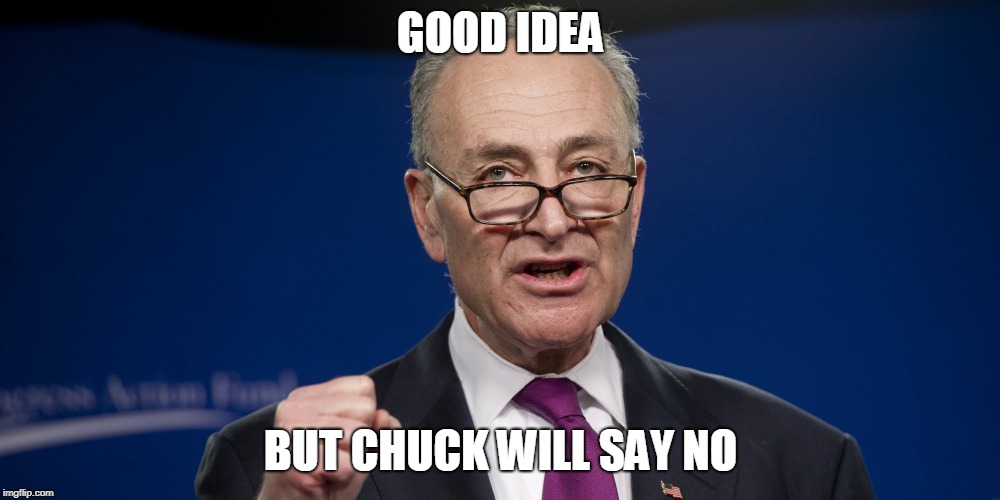 chuck Schumer | GOOD IDEA BUT CHUCK WILL SAY NO | image tagged in chuck schumer | made w/ Imgflip meme maker