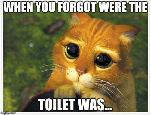 de toilet | WHEN YOU FORGOT WERE THE; TOILET WAS... | image tagged in memes,shrek cat | made w/ Imgflip meme maker