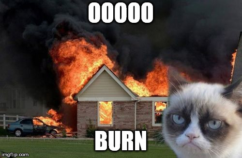 Burn Kitty Meme | OOOOO BURN | image tagged in memes,burn kitty,grumpy cat | made w/ Imgflip meme maker