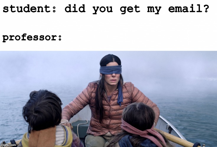 Bird Box | student: did you get my email? professor: | image tagged in bird box | made w/ Imgflip meme maker