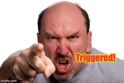 Angry Man Pointing | Triggered! | image tagged in angry man pointing | made w/ Imgflip meme maker