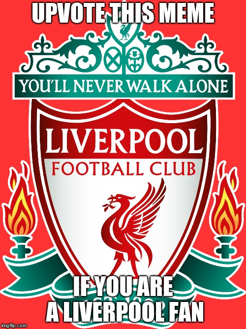 liverpool fans only lol | UPVOTE THIS MEME; IF YOU ARE A LIVERPOOL FAN | image tagged in go liverpool | made w/ Imgflip meme maker