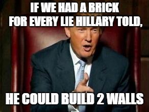 Donald Trump | IF WE HAD A BRICK FOR EVERY LIE HILLARY TOLD, HE COULD BUILD 2 WALLS | image tagged in donald trump | made w/ Imgflip meme maker