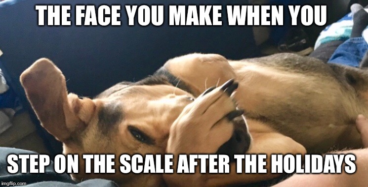 Holiday weight gain  | THE FACE YOU MAKE WHEN YOU; STEP ON THE SCALE AFTER THE HOLIDAYS | image tagged in holidays,weight gain,funny,dog meme,funny dog memes,instagram | made w/ Imgflip meme maker