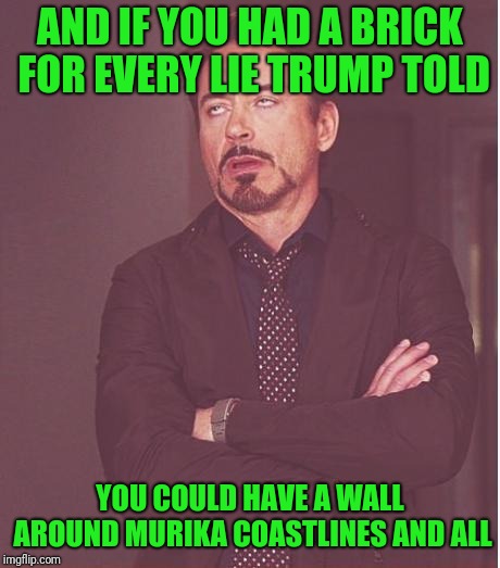 Face You Make Robert Downey Jr Meme | AND IF YOU HAD A BRICK FOR EVERY LIE TRUMP TOLD YOU COULD HAVE A WALL AROUND MURIKA COASTLINES AND ALL | image tagged in memes,face you make robert downey jr | made w/ Imgflip meme maker