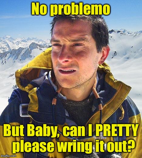 Bear Grylls Meme | No problemo But Baby, can I PRETTY  please wring it out? | image tagged in memes,bear grylls | made w/ Imgflip meme maker