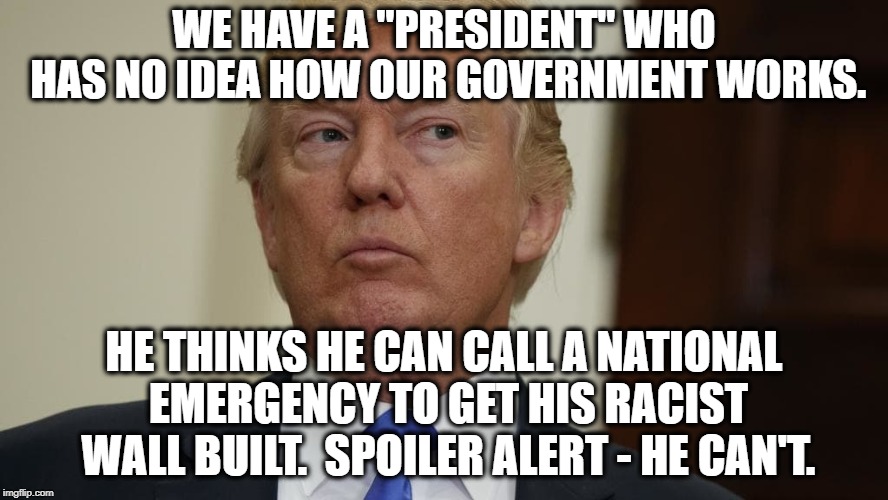 He Has No Idea How His Own Government Works | WE HAVE A "PRESIDENT" WHO HAS NO IDEA HOW OUR GOVERNMENT WORKS. HE THINKS HE CAN CALL A NATIONAL EMERGENCY TO GET HIS RACIST WALL BUILT.  SPOILER ALERT - HE CAN'T. | image tagged in donald trump,treason,traitor,wall,government shutdown,racist | made w/ Imgflip meme maker