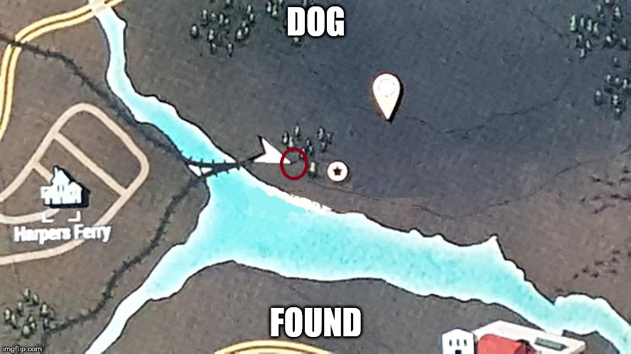 DOG; FOUND | made w/ Imgflip meme maker