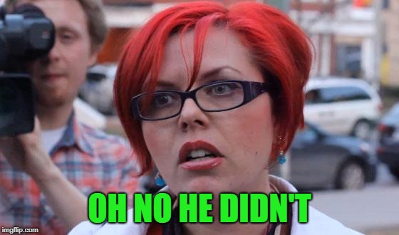 Angry Feminist | OH NO HE DIDN'T | image tagged in angry feminist | made w/ Imgflip meme maker