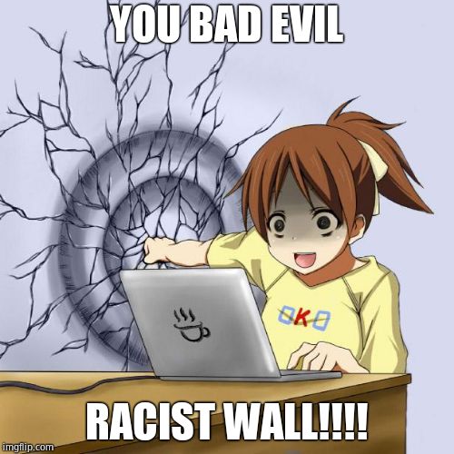 Anime Wall Punch Meme | YOU BAD EVIL RACIST WALL!!!! | image tagged in anime wall punch meme | made w/ Imgflip meme maker