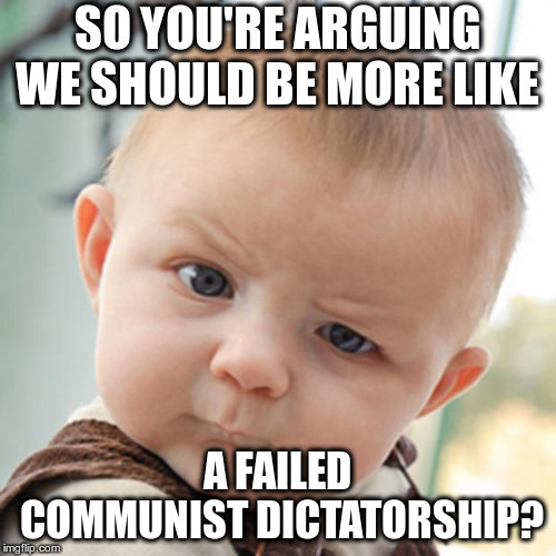 Sceptical Boy | SO YOU'RE ARGUING WE SHOULD BE MORE LIKE A FAILED COMMUNIST DICTATORSHIP? | image tagged in sceptical boy | made w/ Imgflip meme maker