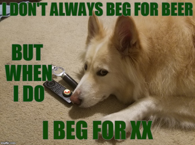 I beg for XX | I DON'T ALWAYS BEG FOR BEER; BUT WHEN I DO; I BEG FOR XX | image tagged in xx,dogs,funny dogs,beer | made w/ Imgflip meme maker
