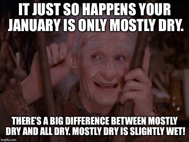 Miracle Max | IT JUST SO HAPPENS YOUR JANUARY IS ONLY MOSTLY DRY. THERE’S A BIG DIFFERENCE BETWEEN MOSTLY DRY AND ALL DRY. MOSTLY DRY IS SLIGHTLY WET! | image tagged in miracle max | made w/ Imgflip meme maker
