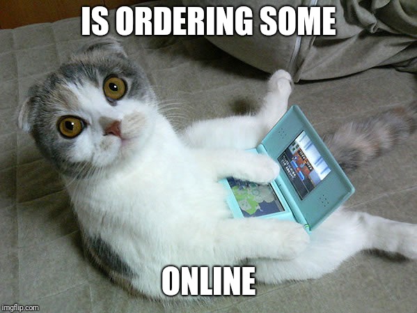 Cats W/ Computers | IS ORDERING SOME ONLINE | image tagged in cats w/ computers | made w/ Imgflip meme maker
