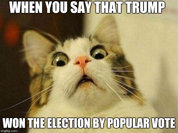 Scared Cat Meme | WHEN YOU SAY THAT TRUMP; WON THE ELECTION BY POPULAR VOTE | image tagged in memes,scared cat | made w/ Imgflip meme maker