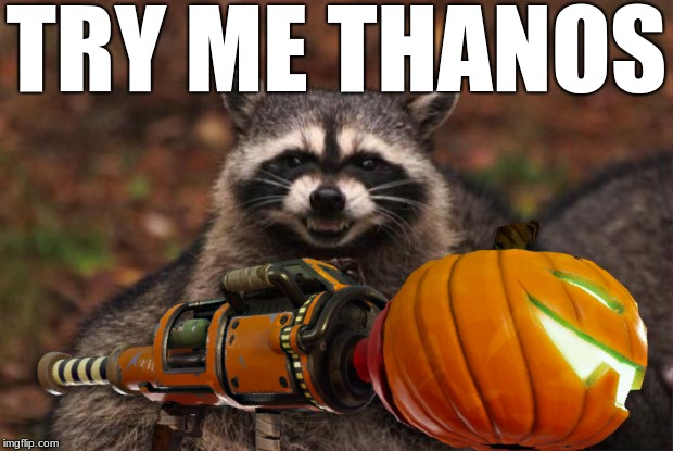 Try Me Thanos | TRY ME THANOS | image tagged in rocket raccoon | made w/ Imgflip meme maker
