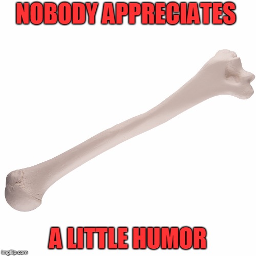 NOBODY APPRECIATES; A LITTLE HUMOR | image tagged in humor bone | made w/ Imgflip meme maker