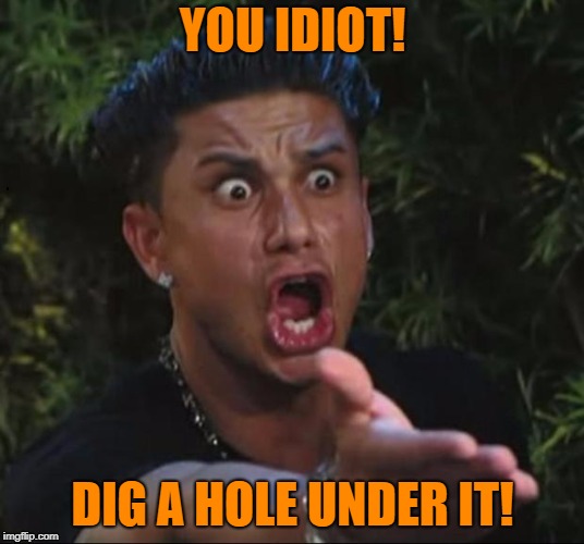 for crying out loud | YOU IDIOT! DIG A HOLE UNDER IT! | image tagged in for crying out loud | made w/ Imgflip meme maker