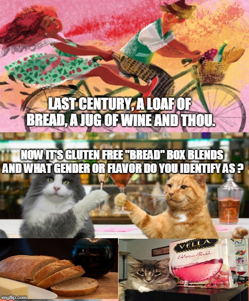 a book, bread,box wine and thou make for a confusing life style.just smartphone everything now. | LAST CENTURY, A LOAF OF BREAD, A JUG OF WINE AND THOU. NOW IT'S GLUTEN FREE "BREAD" BOX BLENDS AND WHAT GENDER OR FLAVOR DO YOU IDENTIFY AS ? | image tagged in gender identity,worthless librarys,meme this,pets as people | made w/ Imgflip meme maker
