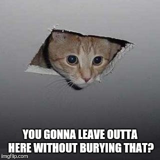 When there's a hole above the bathroom stall | YOU GONNA LEAVE OUTTA HERE WITHOUT BURYING THAT? | image tagged in memes,ceiling cat | made w/ Imgflip meme maker