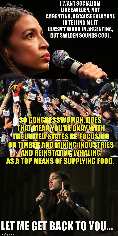 I'm guessing she hasn't given a lot of thought.. to her... thoughts..  | I WANT SOCIALISM LIKE SWEDEN, NOT ARGENTINA, BECAUSE EVERYONE IS TELLING ME IT DOESN'T WORK IN ARGENTINA, BUT SWEDEN SOUNDS COOL. SO CONGRESSWOMAN, DOES THAT MEAN YOU'RE OKAY WITH THE UNITED STATES RE-FOCUSING ON TIMBER AND MINING INDUSTRIES AND REINSTATING WHALING AS A TOP MEANS OF SUPPLYING FOOD. LET ME GET BACK TO YOU... | image tagged in ocassio cortez,congresswoman,bartender,whaling,ikea | made w/ Imgflip meme maker