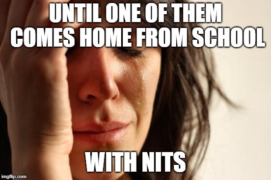 First World Problems Meme | UNTIL ONE OF THEM COMES HOME FROM SCHOOL WITH NITS | image tagged in memes,first world problems | made w/ Imgflip meme maker