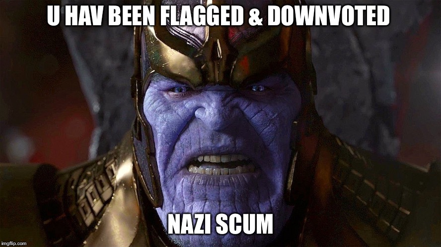 TheMadTitan2.0 angry | U HAV BEEN FLAGGED & DOWNVOTED; NAZI SCUM | image tagged in themadtitan20 angry | made w/ Imgflip meme maker
