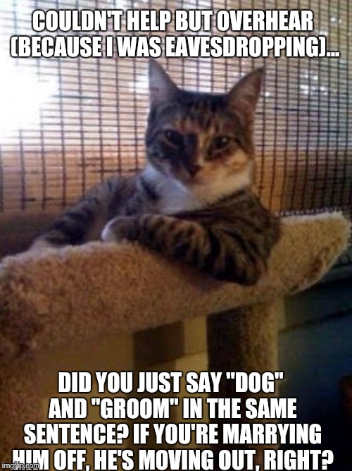 The Most Interesting Cat In The World | COULDN'T HELP BUT OVERHEAR (BECAUSE I WAS EAVESDROPPING)... DID YOU JUST SAY "DOG" AND "GROOM" IN THE SAME SENTENCE? IF YOU'RE MARRYING HIM OFF, HE'S MOVING OUT, RIGHT? | image tagged in memes,the most interesting cat in the world | made w/ Imgflip meme maker