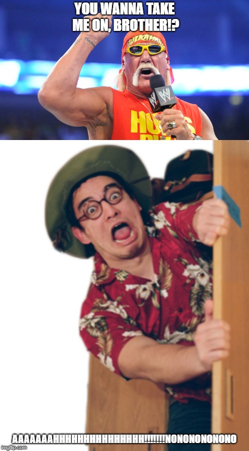 Hulk Challenges You Meme | YOU WANNA TAKE ME ON, BROTHER!? AAAAAAAHHHHHHHHHHHHHHH!!!!!!!NONONONONONO | image tagged in wrestling,memes,filthy frank,funny | made w/ Imgflip meme maker