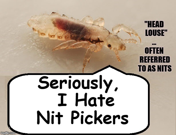 I Hate Being Called a "Louse" and... | "HEAD   LOUSE" ...  OFTEN  REFERRED TO AS NITS; Seriously,  I Hate Nit Pickers | image tagged in vince vance,nits,nit picker,head lice,fine tooth comb,lice | made w/ Imgflip meme maker