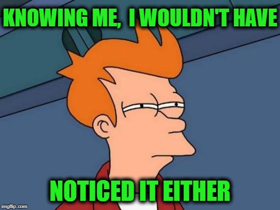 Futurama Fry Meme | KNOWING ME,  I WOULDN'T HAVE NOTICED IT EITHER | image tagged in memes,futurama fry | made w/ Imgflip meme maker
