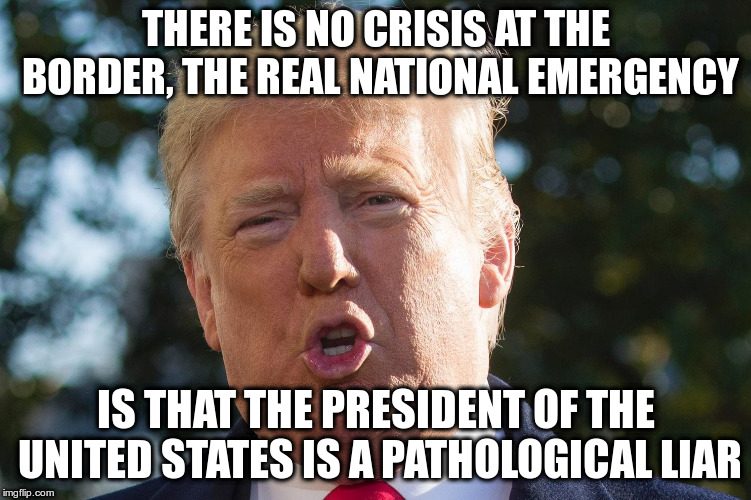 A difficult truth | THERE IS NO CRISIS AT THE BORDER, THE REAL NATIONAL EMERGENCY; IS THAT THE PRESIDENT OF THE UNITED STATES IS A PATHOLOGICAL LIAR | image tagged in trump,border wall,pathological liar | made w/ Imgflip meme maker