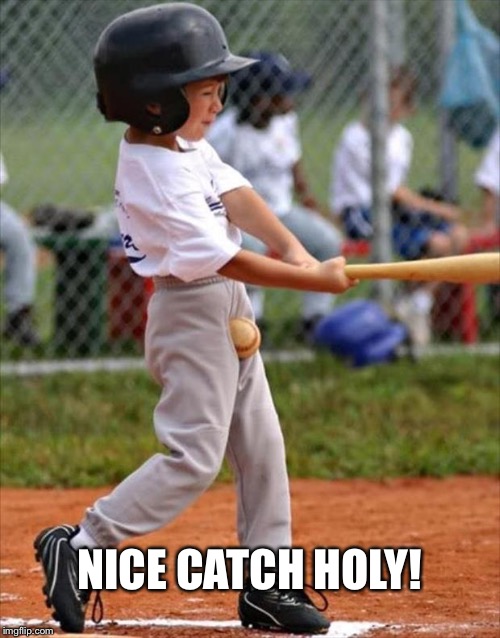 baseball | NICE CATCH HOLY! | image tagged in baseball | made w/ Imgflip meme maker