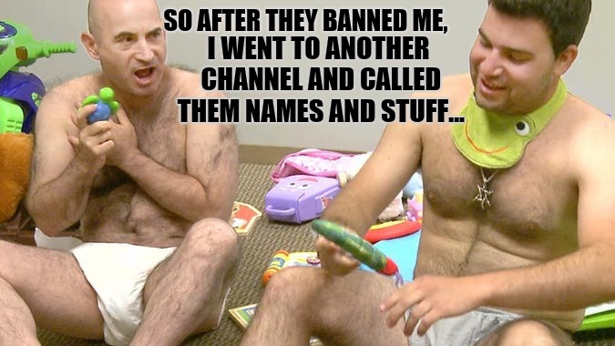 Trolls | SO AFTER THEY BANNED ME, I WENT TO ANOTHER CHANNEL AND CALLED THEM NAMES AND STUFF... | image tagged in whiners,upset baby,memes,trolls,crybabies | made w/ Imgflip meme maker