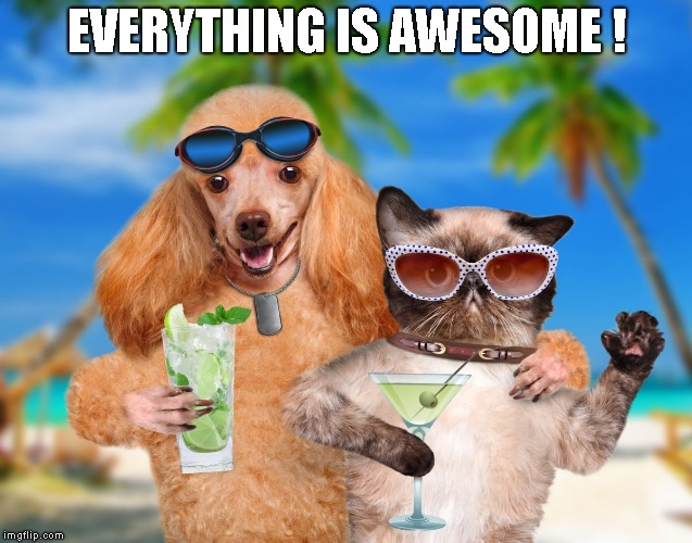 Cat and Dog Sipping Cocktails | EVERYTHING IS AWESOME ! | image tagged in cat and dog sipping cocktails | made w/ Imgflip meme maker