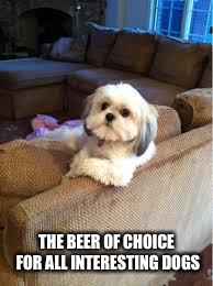 the most interesting dog in the world | THE BEER OF CHOICE FOR ALL INTERESTING DOGS | image tagged in the most interesting dog in the world | made w/ Imgflip meme maker
